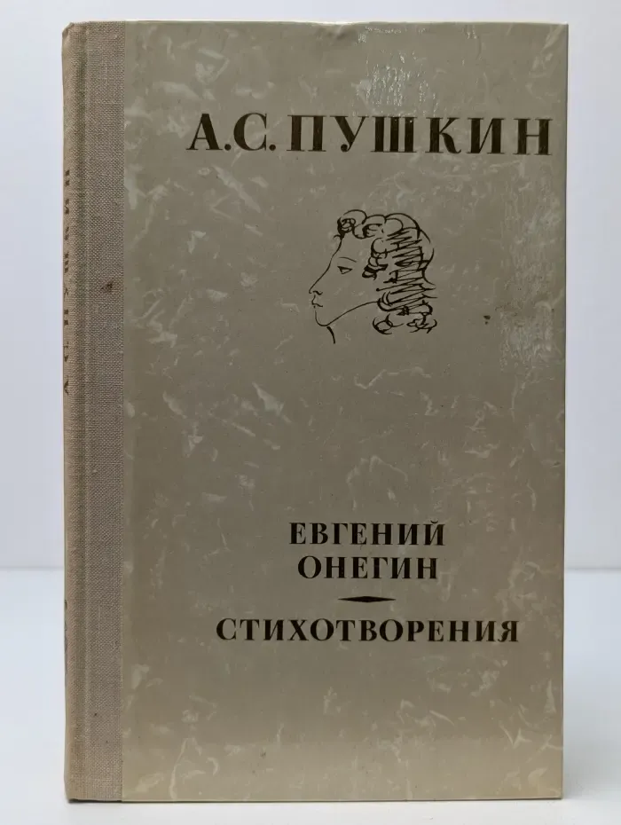 Школьная библиотека. Евгений Онегин. Стихотворения