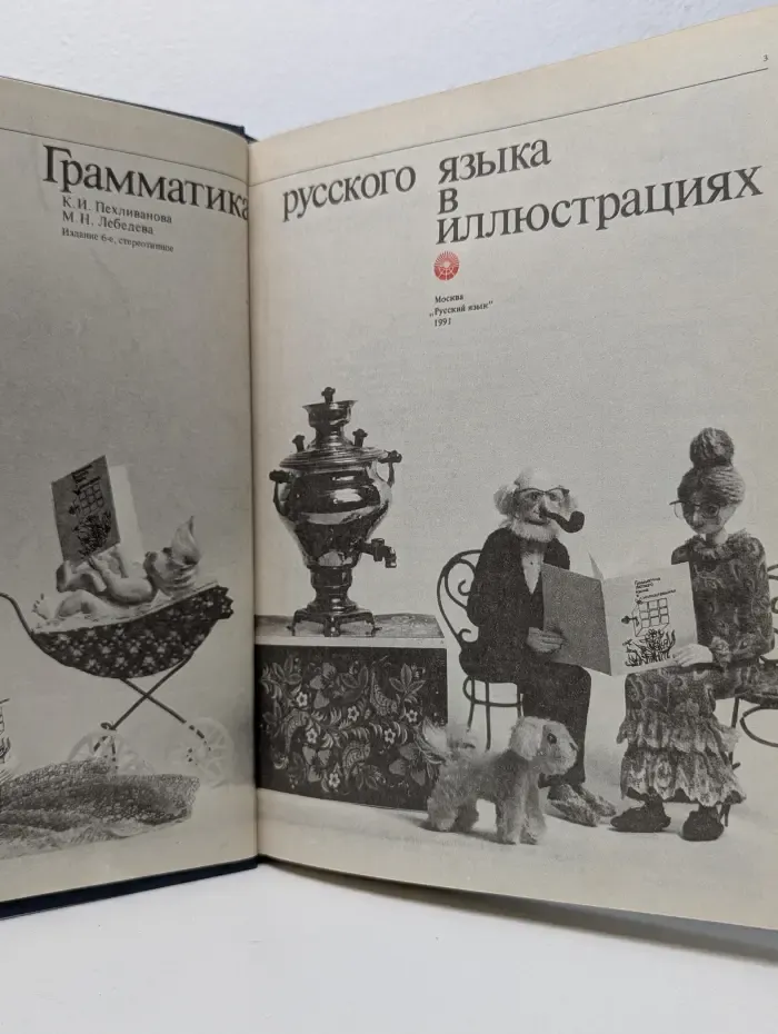 Грамматика русского языка в иллюстрациях