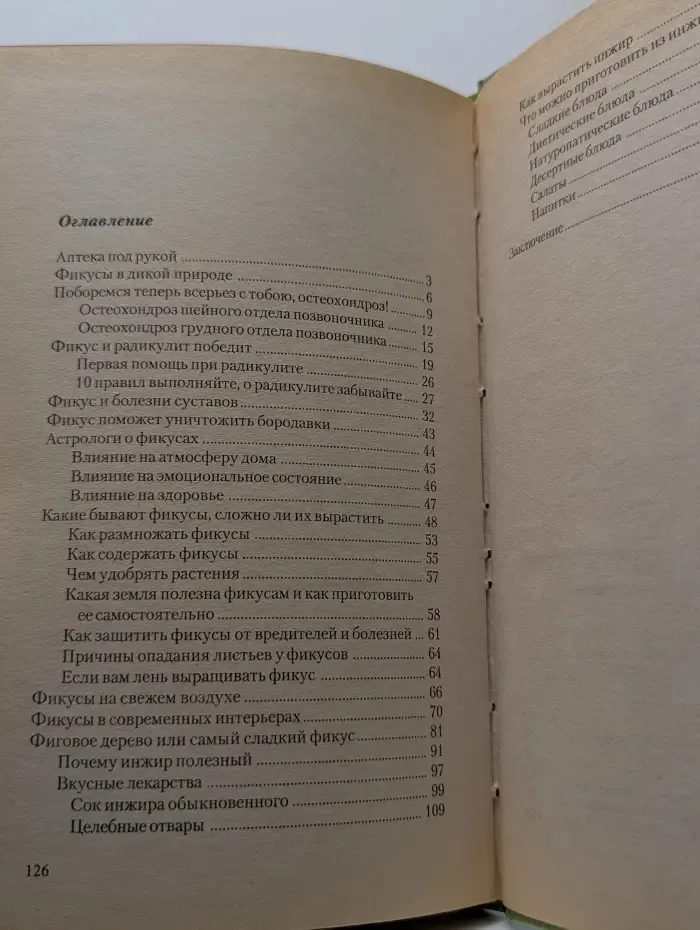 Расстения-целители от всех болезней. Фикусы