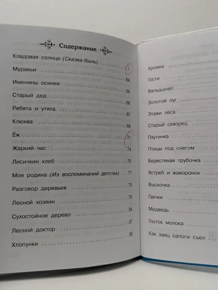 Школьная библиотека. Кладовая солнца