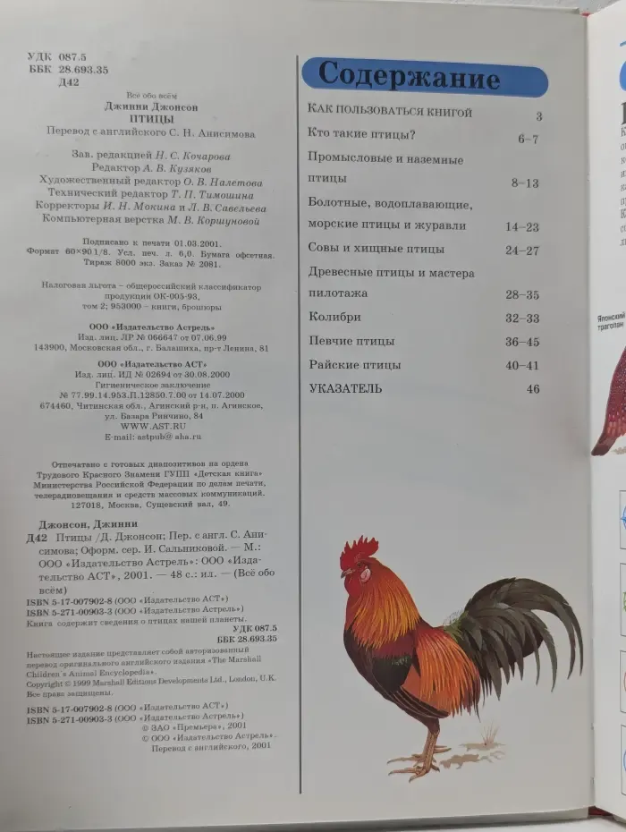 Все обо всем. Птицы