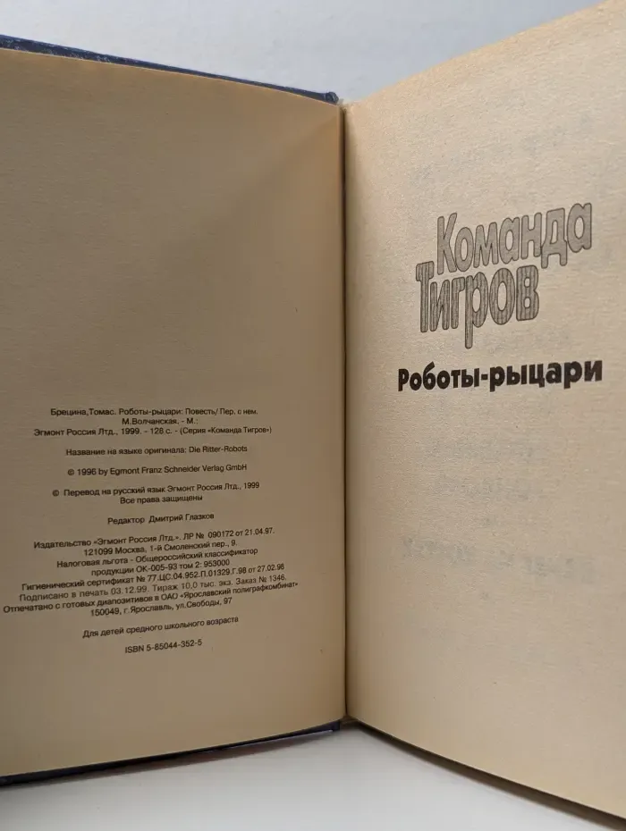 Сыщики XXI века. Команда Тигров. Роботы-рыцари
