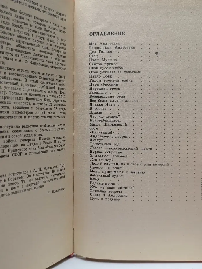 Моя Андреевка