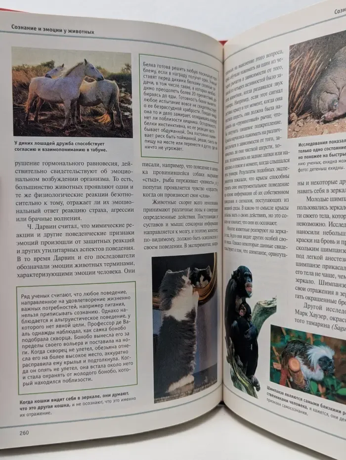 Большая иллюстрированная энциклопедия. В 32 томах. Том 31. Шоп-Ядо