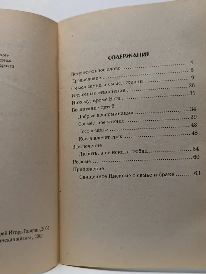 Любить, а не искать любви. Беседы о семье и браке
