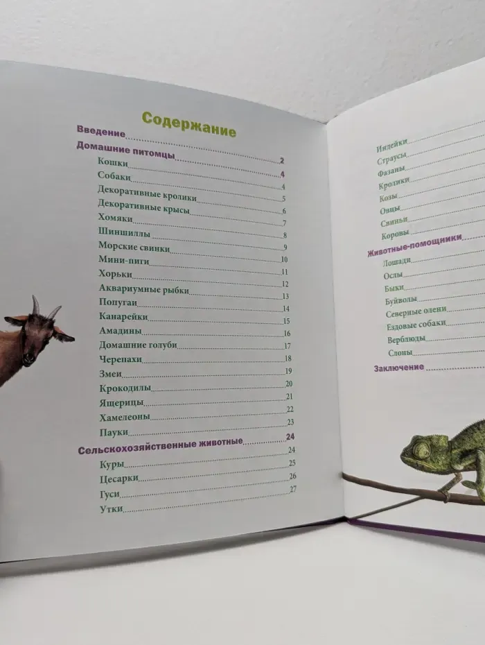 Знание-сила. Энциклопедия. Домашние животные