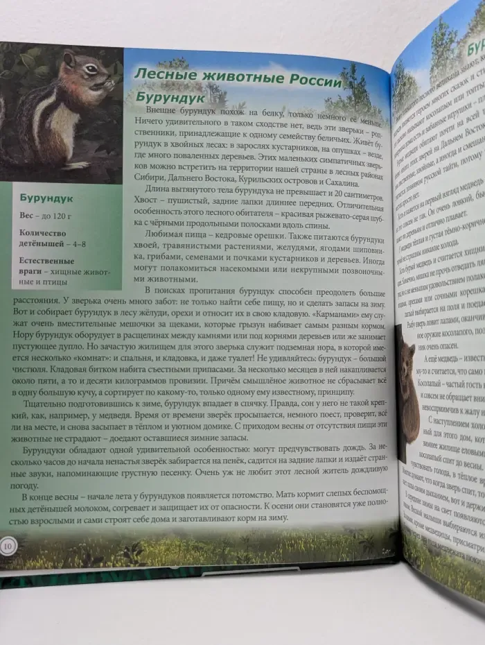 Знания-сила. Лесные животные России