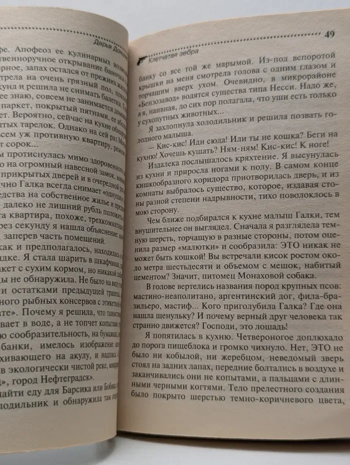 Иронический детектив. Клетчатая зебра