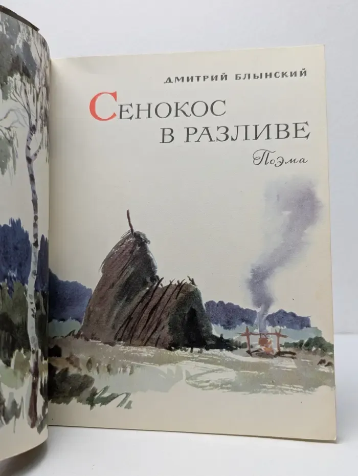 Сенокос в разливе