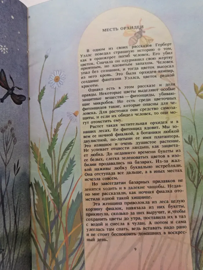 Лепестки. Тайны цветов