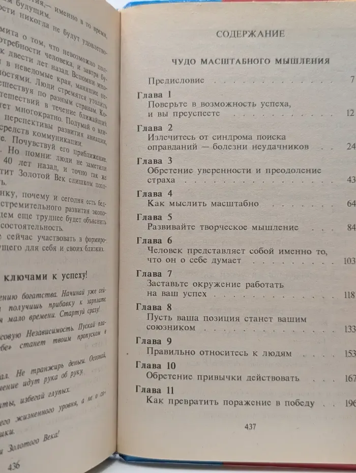 Поле Чудес бизнеса. Магия оптимизма. Чудо масштабного мышления
