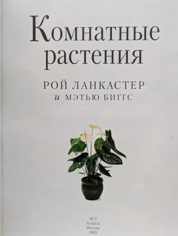 Комнатные растения