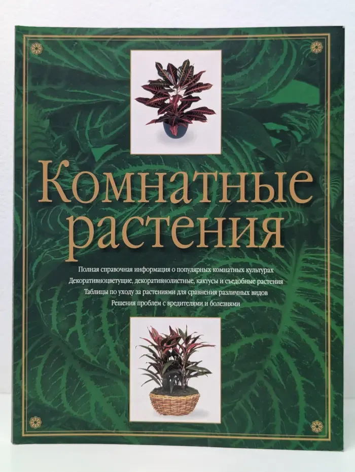 Комнатные растения