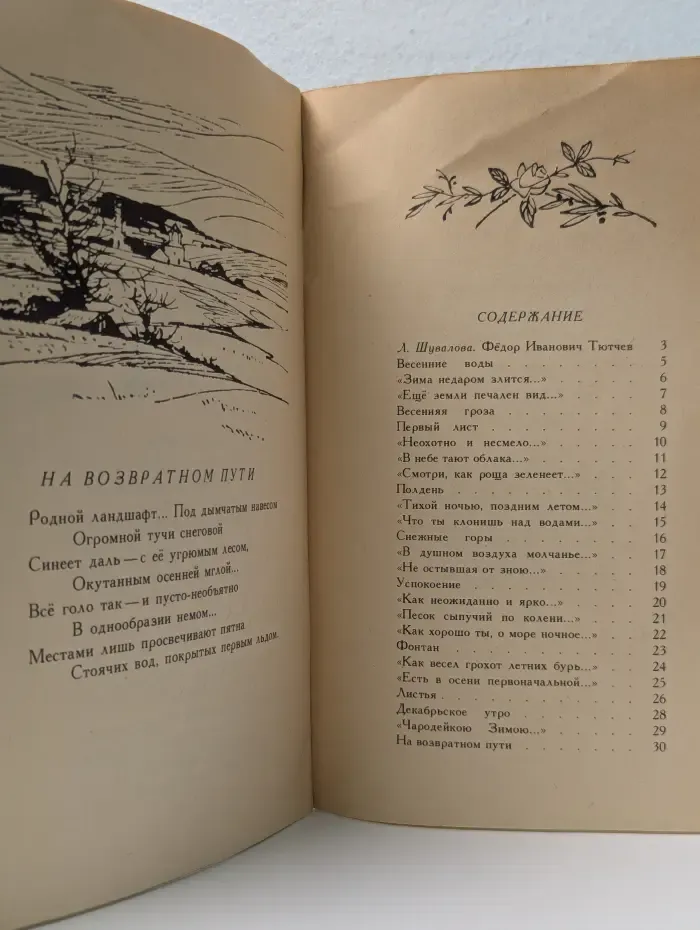 Книга за книгой. Листья. Стихи