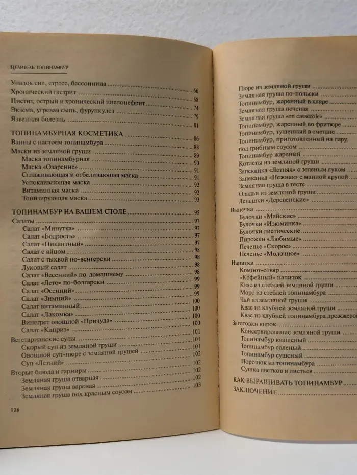 Целитель топинамбур