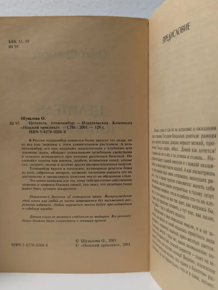 Целитель топинамбур