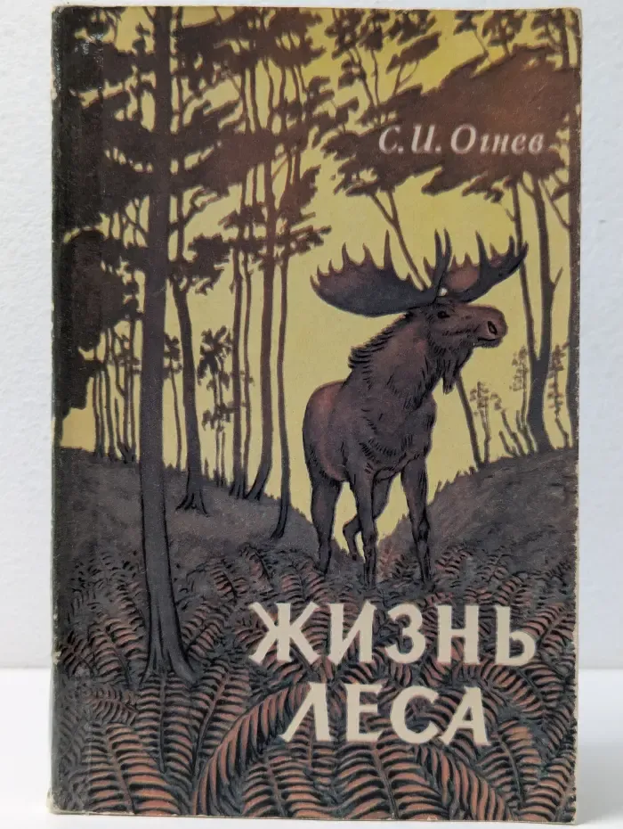 Жизнь леса