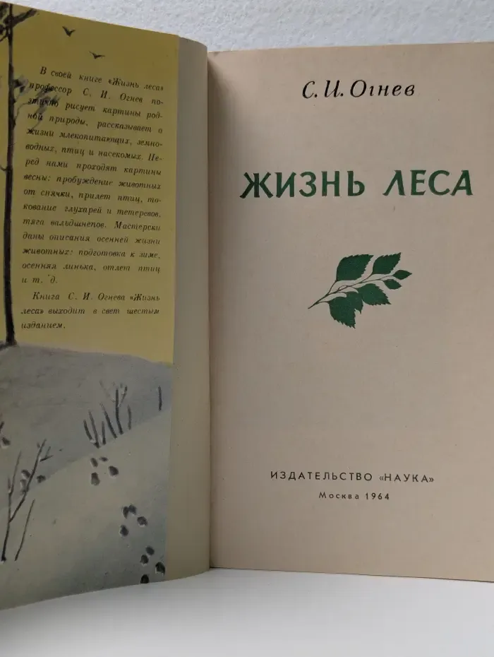 Жизнь леса