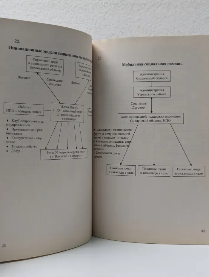 Социальная работа. Золотой фонд учебной литературы. Социальная работа в схемах
