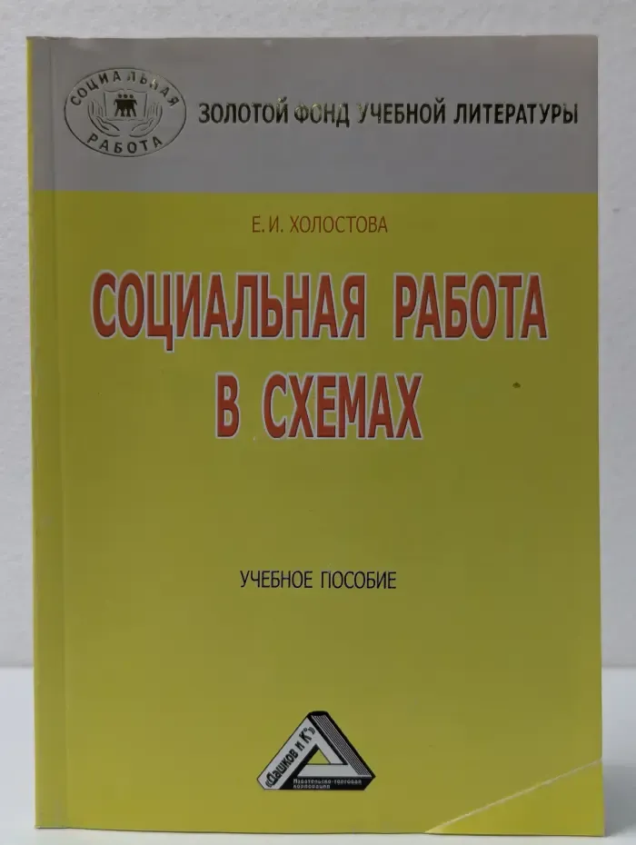 Социальная работа. Золотой фонд учебной литературы. Социальная работа в схемах