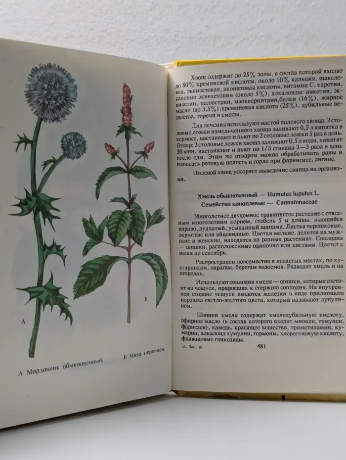 От всех болезней. Лекарственные растения полей и лесов