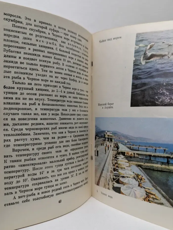 Черное море