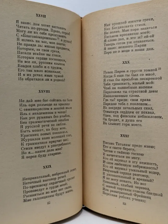 Школьная библиотека. Евгений Онегин