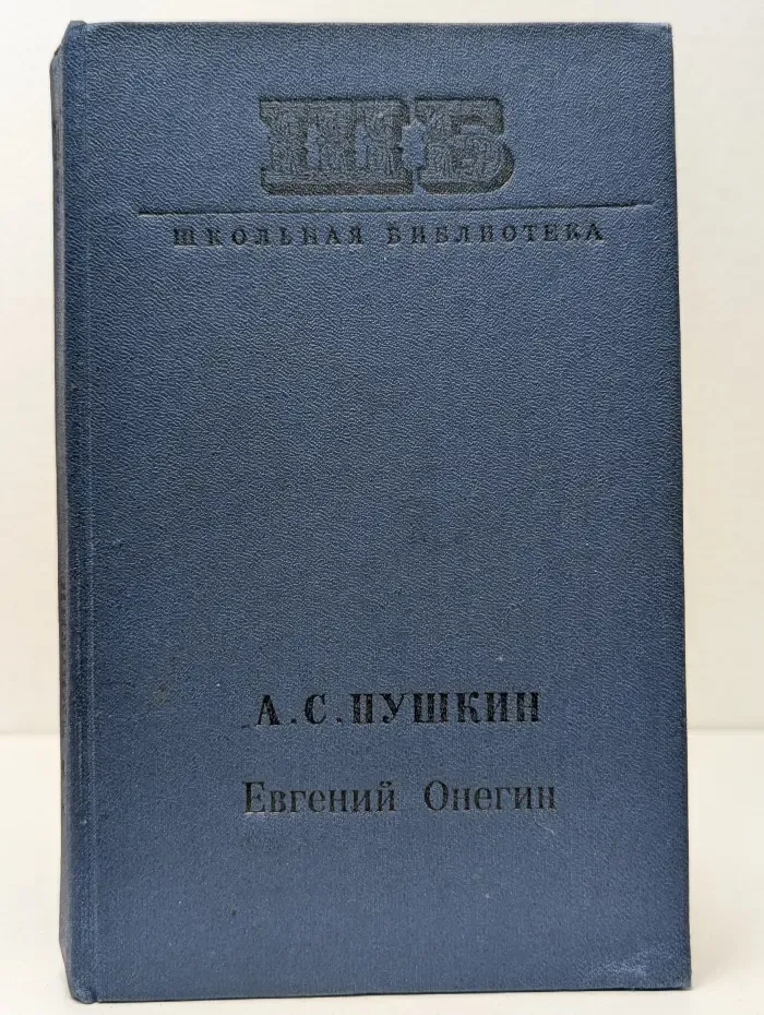 Школьная библиотека. Евгений Онегин