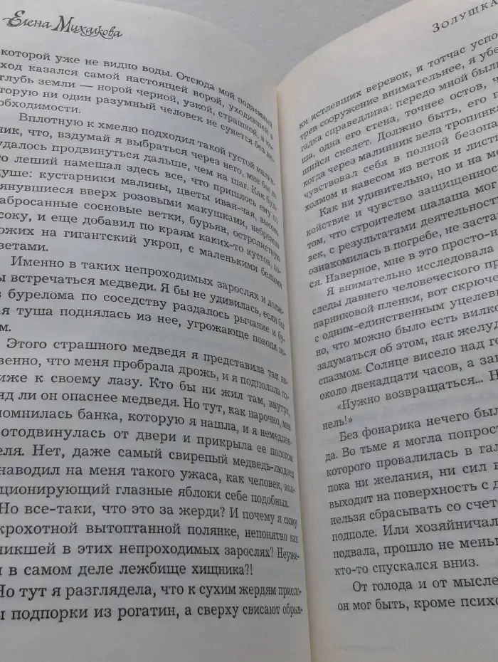 Идеальный детектив. Золушка и Дракон