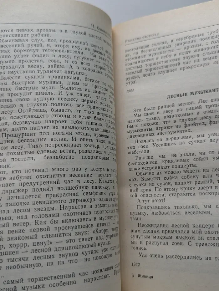 Библиотека молодой семьи. Живица