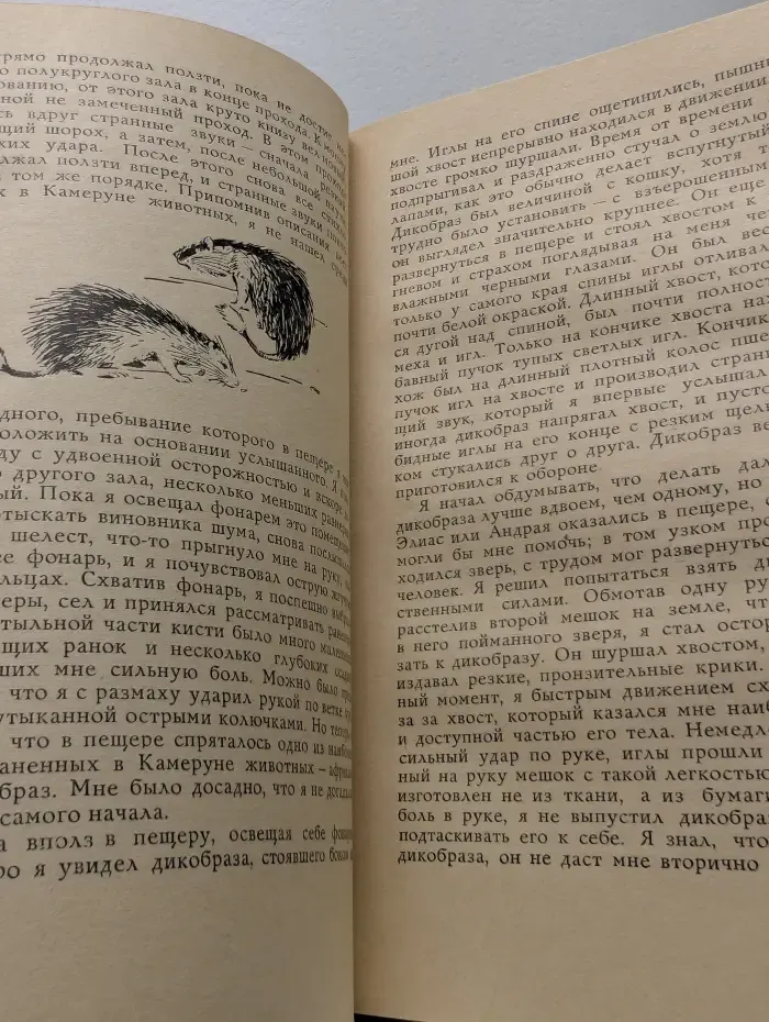 Перегруженный ковчег