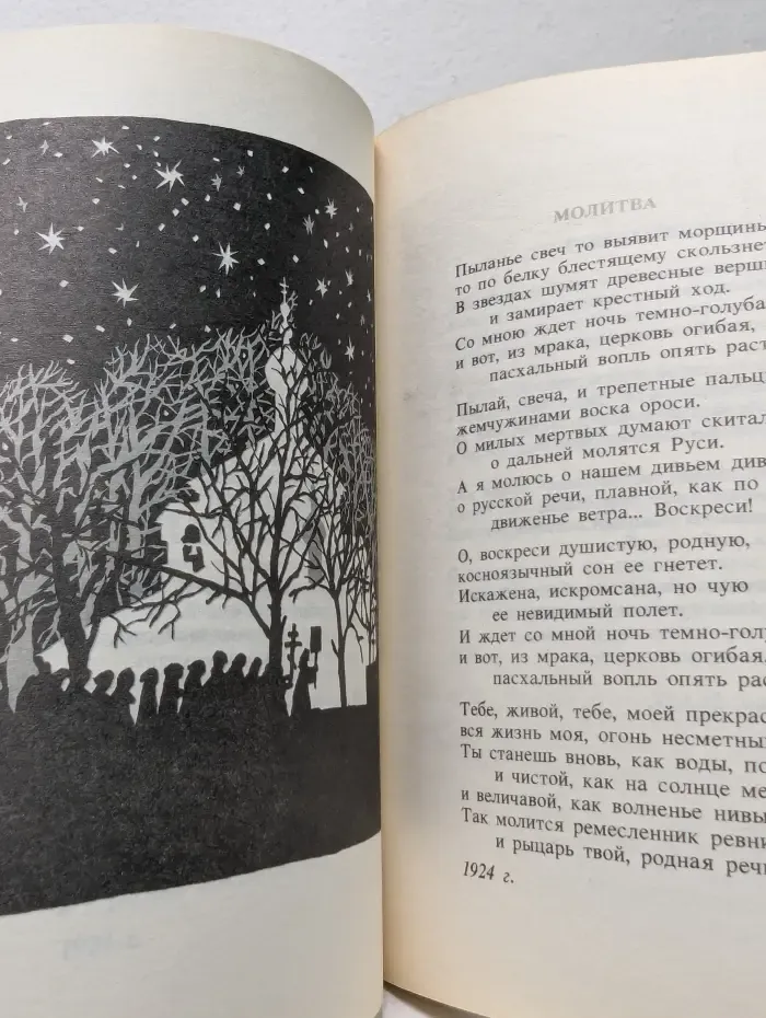 ХХ век. Поэт и время. В. Набоков. Стихотворения и поэмы