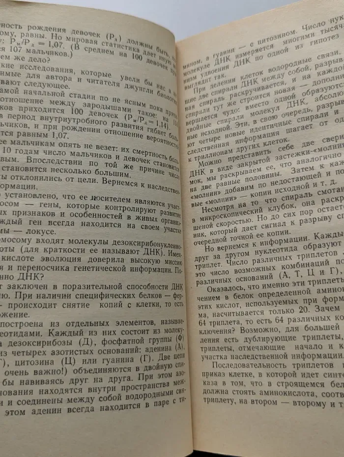 Эврика. Поговорим об информации