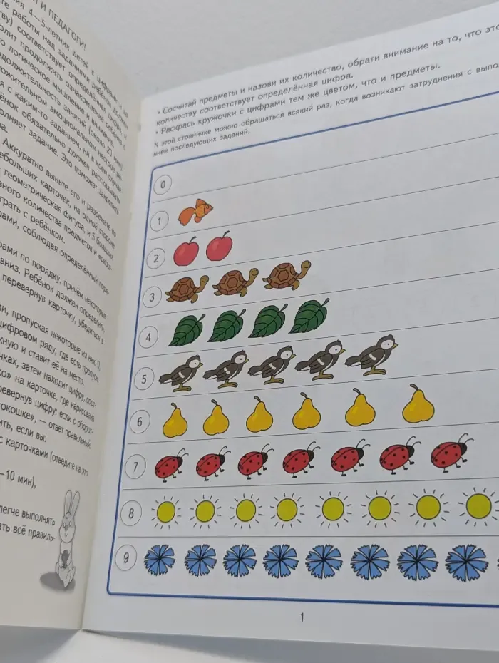 Количество и счет. 4-5 лет. Развивающие задания и игра