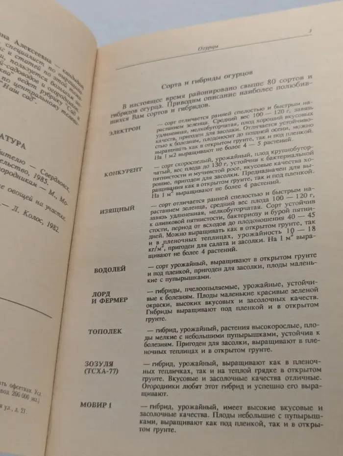 Огурцы