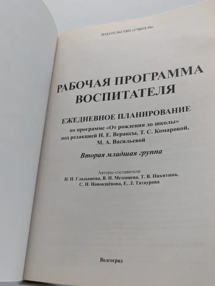 Рабочие программы в ДОУ. Рабочая программа воспитателя. Ежедневное планирование