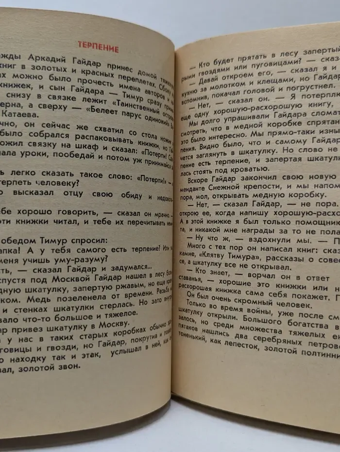 Пионер-значит первый. О смелом всаднике