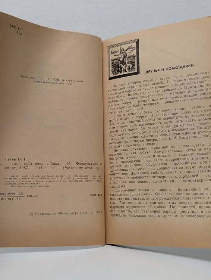 Молодому охотнику. Твоя охотничья собака