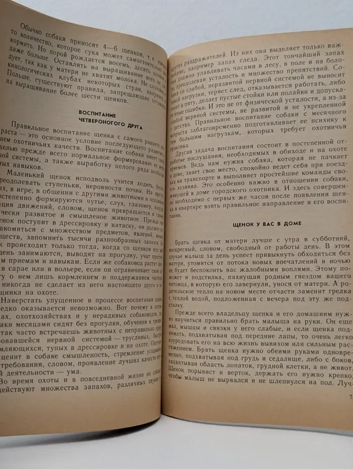 Молодому охотнику. Твоя охотничья собака