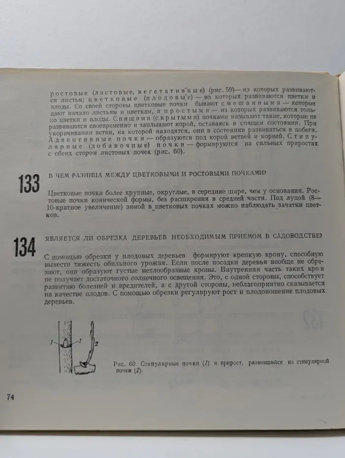 700 советов садоводу-любителю