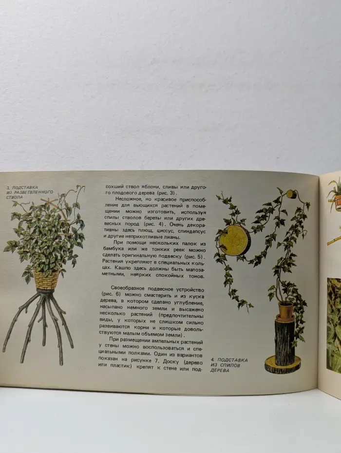 Цветы в интерьере