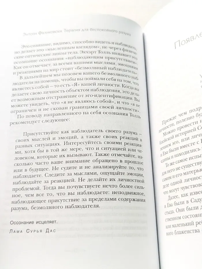 Терапия для беспокойного разума. Девять способов обрести внутренний покой