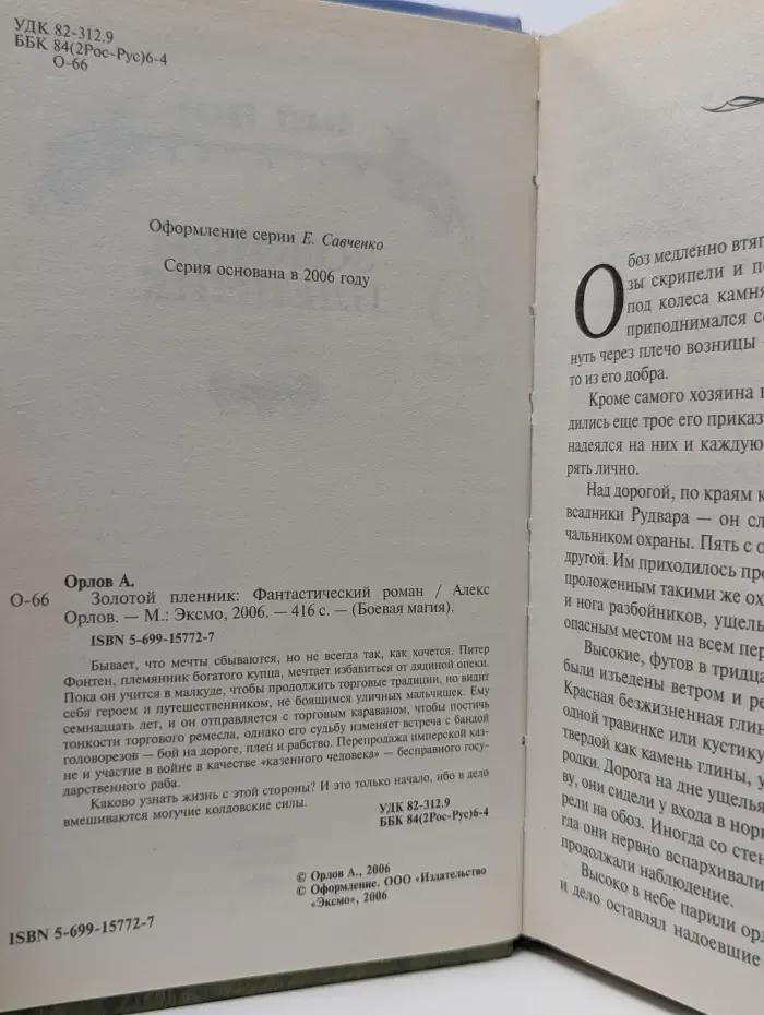 Боевая магия. Золотой пленник