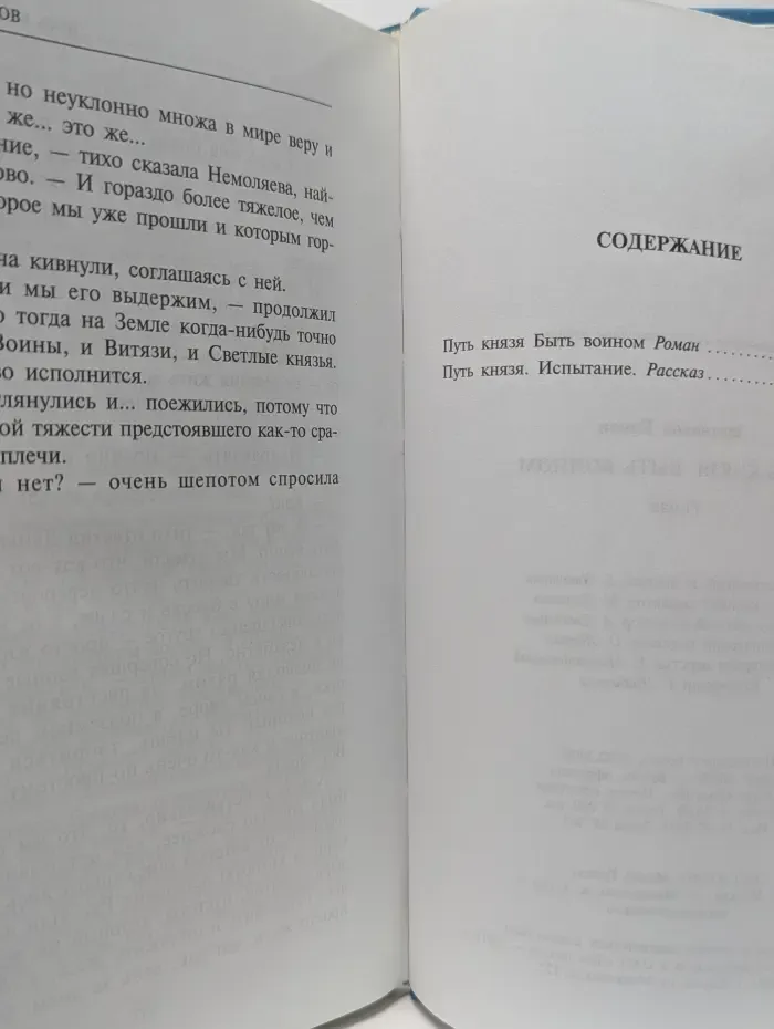 Супер-фэнтези. Путь князя. Быть воином
