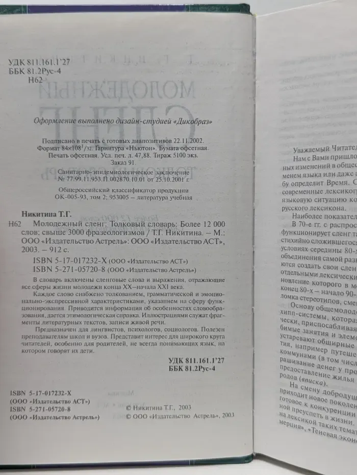 Молодежный сленг. Толковый словарь