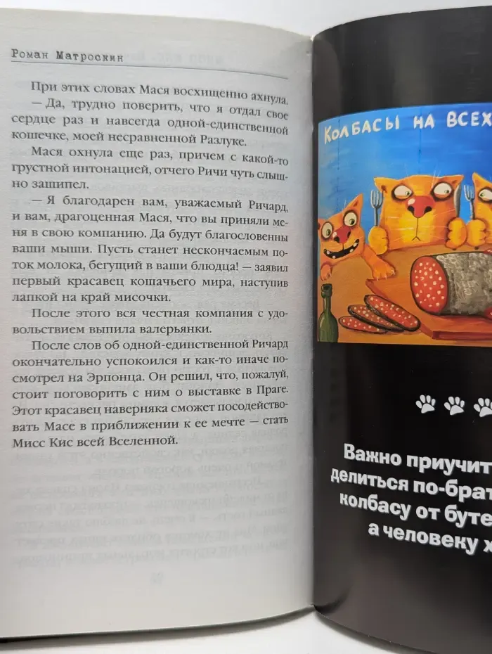 Остросюжетный котектив. Мисс Кис. Ночь длинных хвостов