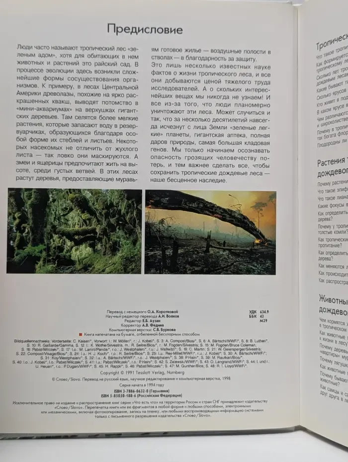 Четь есть что. Тропический лес