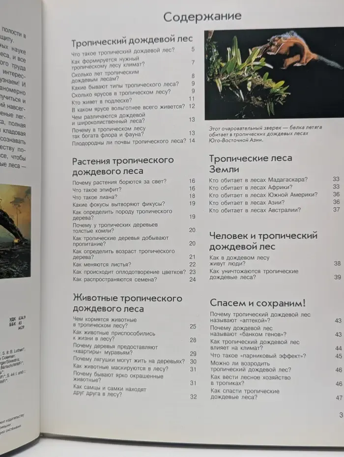 Четь есть что. Тропический лес