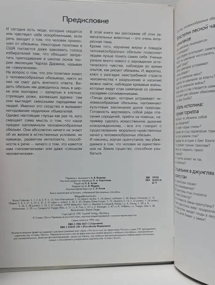Что есть что.Человекообразные обезьяны