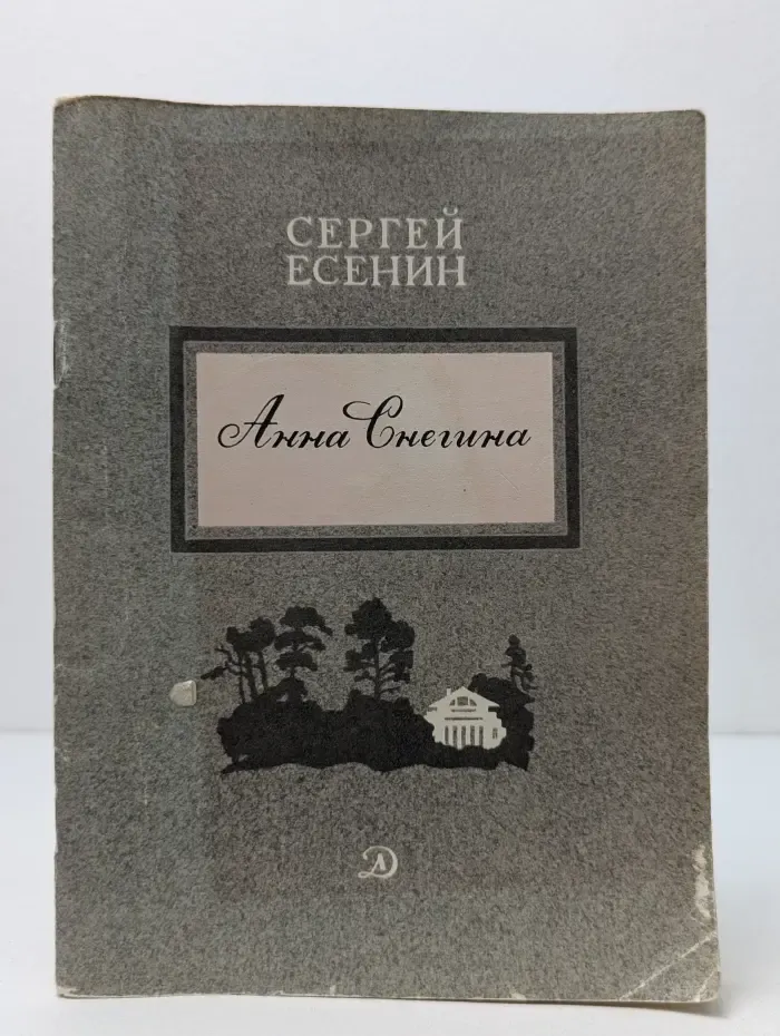 Школьная библиотека. Анна Снегина